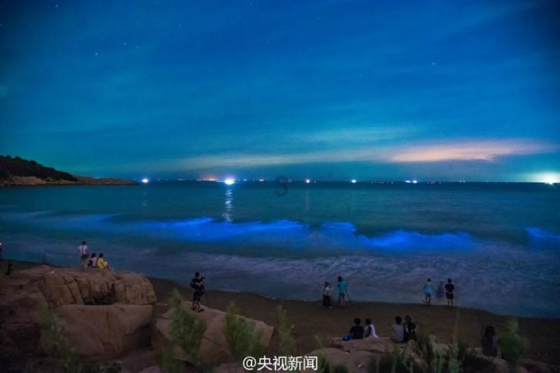 豫剧四大声腔流派包括游戏画面