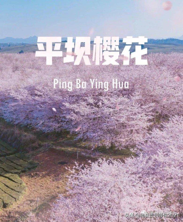 我的老师是偶像