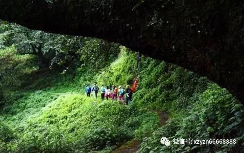 办公室助理